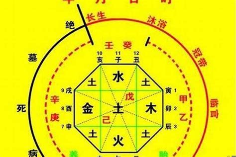 八字喜五行|生辰八字喜用神在线查询